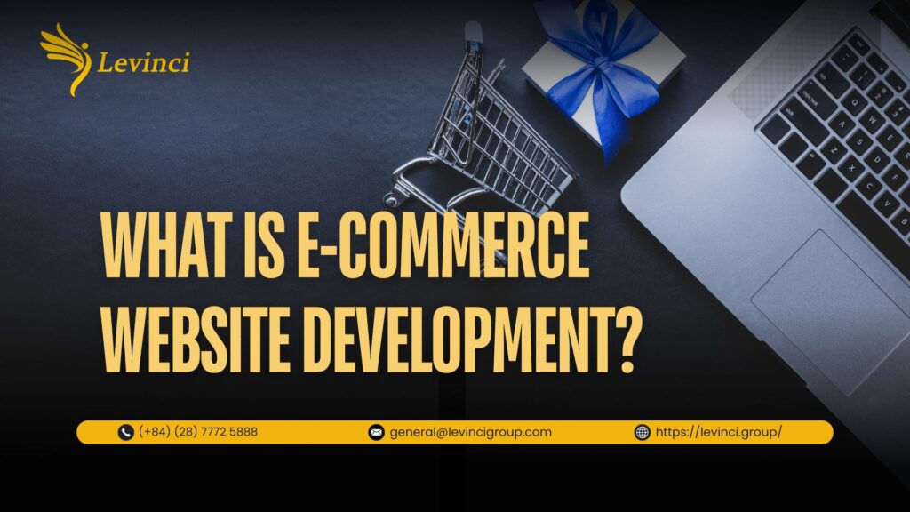 Ecommerce Website Development